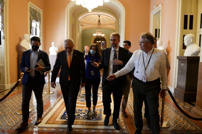&copy; Reuters. Senate Majority Leader Chuck Schumer (D-NY) speaks to reporters on Capitol Hill in Washington, U.S., June 21, 2022 REUTERS/Mary F. Calvert