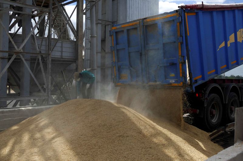 © Reuters. A truck driver unloads barley grain at a grain terminal, as Russia's attack on Ukraine continues, in Odesa Region, Ukraine June 22, 2022.  REUTERS/Igor Tkachenko