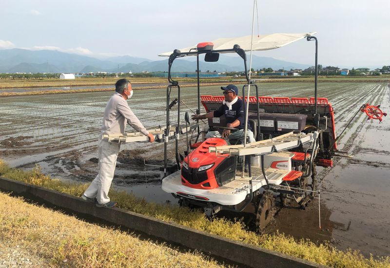 &copy; Reuters. FILE PHOTO: Rice farmer Kazuyuki Oshino chats with his son at a rice field, in Tendo, Yamagata Prefecture, northern Japan May 12, 2022. REUTERS/Daniel Leussink