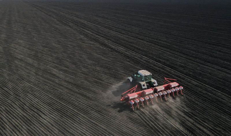 Servicio MARS de la UE prevé un aumento del 16% en la cosecha de trigo de Rusia