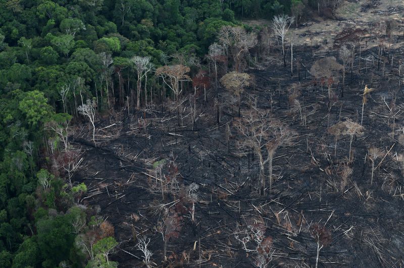 &copy; Reuters. Foto de archivo aérea de una ona del Amazonas quemada pora agricultores en  Itaituba
Sep 26, 2019. REUTERS/Ricardo Moraes