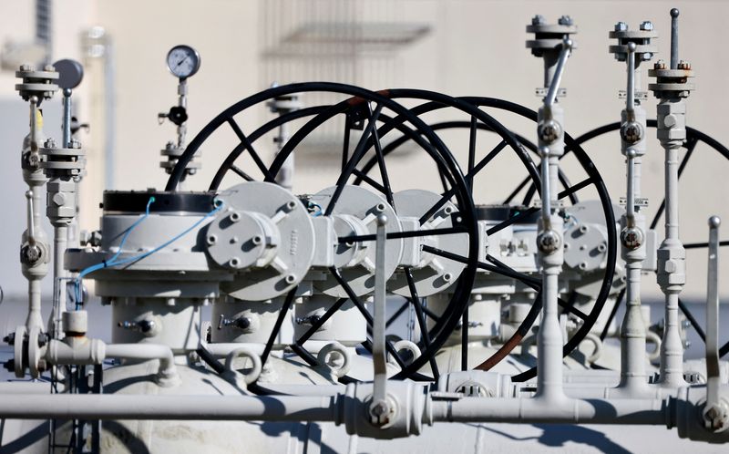 &copy; Reuters. FILE PHOTO: Pipes at the landfall facilities of the 'Nord Stream 1' gas pipeline are pictured in Lubmin, Germany, March 8, 2022. REUTERS/Hannibal Hanschke