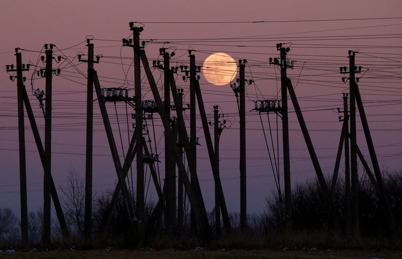&copy; Reuters. FILE PHOTO: A full moon is seen rising through electric poles near Virbalis, Lithuania February 10, 2017. REUTERS/Kacper Pempel