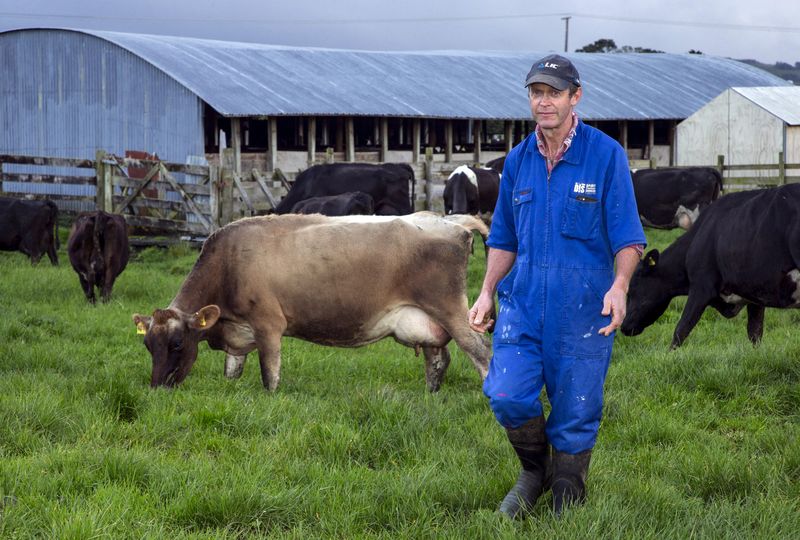 New Zealand dairy and meat farmers disappointed in EU trade deal
