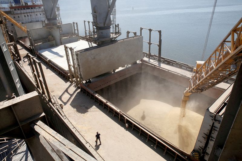 &copy; Reuters. عامل يتابع تحميل شحنة من الحبوب على سفينة أوكرانية لتصدير الحبوب في ميناء بمدينة نيكولايف في صورة من أرشيف رويترز.