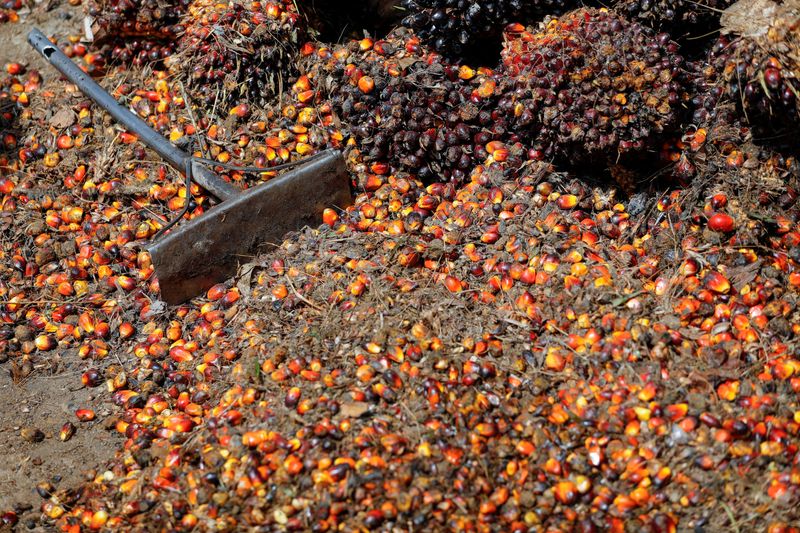 &copy; Reuters. Lavoura de palma para produção de óleo em Riau, província da Indonésia
05/07/2022
REUTERS/Willy Kurniawan