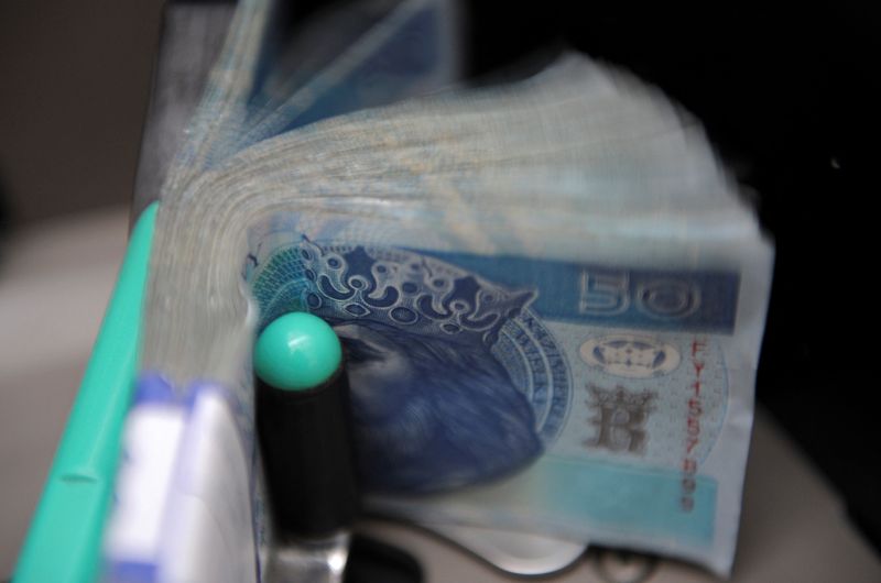 &copy; Reuters. FILE PHOTO: Polish zloty bills at the National Bank of Poland building in Warsaw October 24, 2008. REUTERS/Kacper Pempel