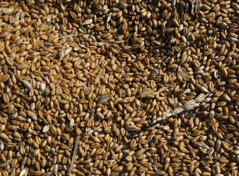 &copy; Reuters. Imagen de archivo de trigo rojo suave de invierno después de ser cosechado en Dixon, Illinois, Estados Unidos. 16 de julio, 2013. REUTERS/Jim Young/Archivo