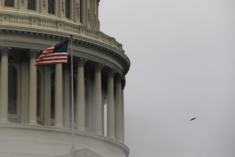 © Reuters. FILE PHOTO: A bird flies by the United States Capitol building in Washington, U.S., March 17, 2022.  REUTERS/Emily Elconin