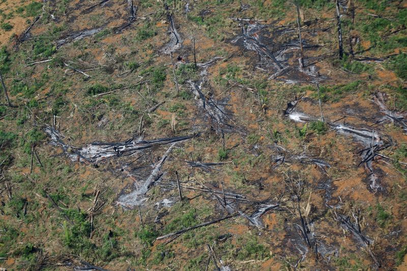 &copy; Reuters. FOTO DE ARCHIVO: Una vista aérea muestra una parcela deforestada de la selva amazónica en el estado de Rondonia, Brasil 28 de septiembre de 2021. REUTERS/Adriano Machado/File Photo