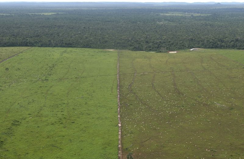 &copy; Reuters. Vue aérienne d'une ferme d'élevage dans une jungle amazonienne déboisée près de Maraba, dans l'État du Para, au Brésil. La déforestation dans la forêt amazonienne brésilienne a atteint un niveau record pour les six premiers mois de l'année, une