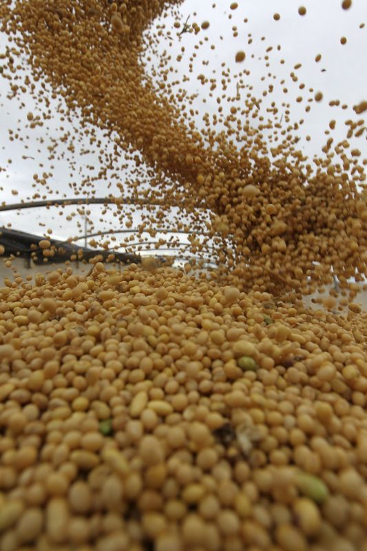 &copy; Reuters. Soja colhida em Primavera do Leste (MT)
05/01/2020
REUTERS/Paulo Whitaker (BRAZIL - Tags: AGRICULTURE BUSINESS COMMODITIES)