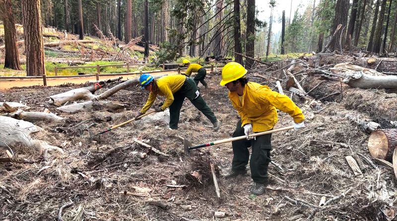 &copy; Reuters. أفراد يقومون بحماية منطقة بمتنزه يوسيميتي في كاليفورنيا من حريق غابات يوم الاثنين. صورة من خدمة المتنزهات الوطنية. 