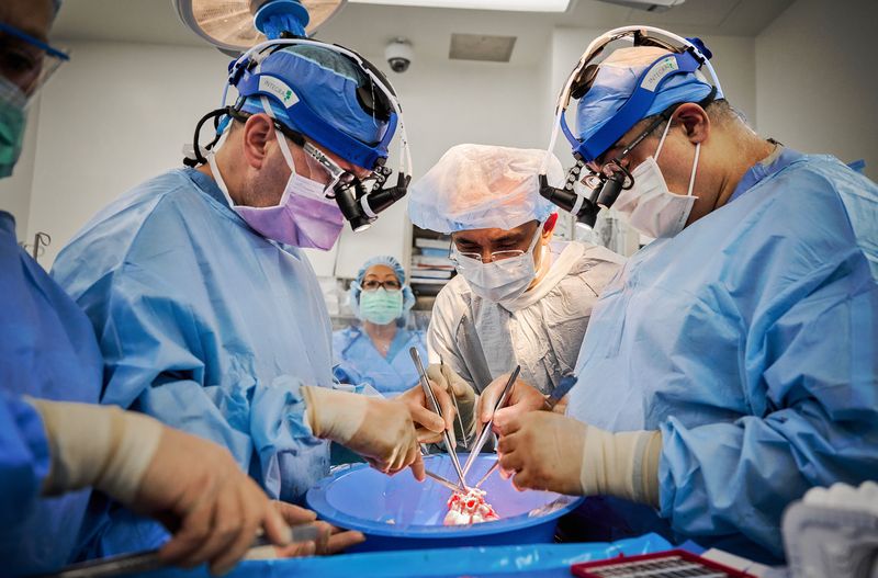 © Reuters. Deane E. Smith, MD, (from left) cardiothoracic surgeon and director of mechanical circulatory support at NYU Langone Health, cardiothoracic surgeon Syed T. Hussain, MD, and Nader Moazami, MD, surgical director of heart transplantation at the NYU Langone Transplant Institute, prepare the pig heart for xenotransplantation at NYU Langone Health on July 6, 2022, in New York City. 

Credit: Joe Carrotta for NYU Langone Health