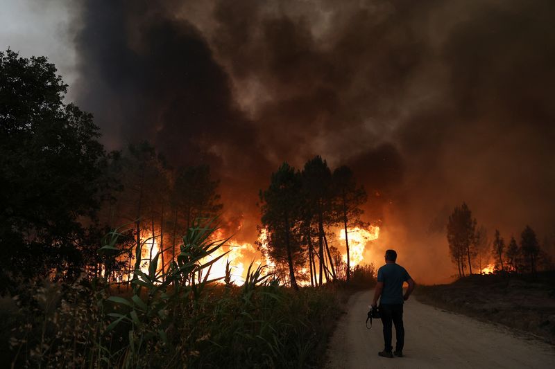 &copy; Reuters. ポルトガル中部で１２日、複数の森林火災が発生し、住民ら数百人が避難している。写真は７月１２、ポルトガルのサンタレンで撮影（２０２２年　ロイター/Rodrigo Antunes）
