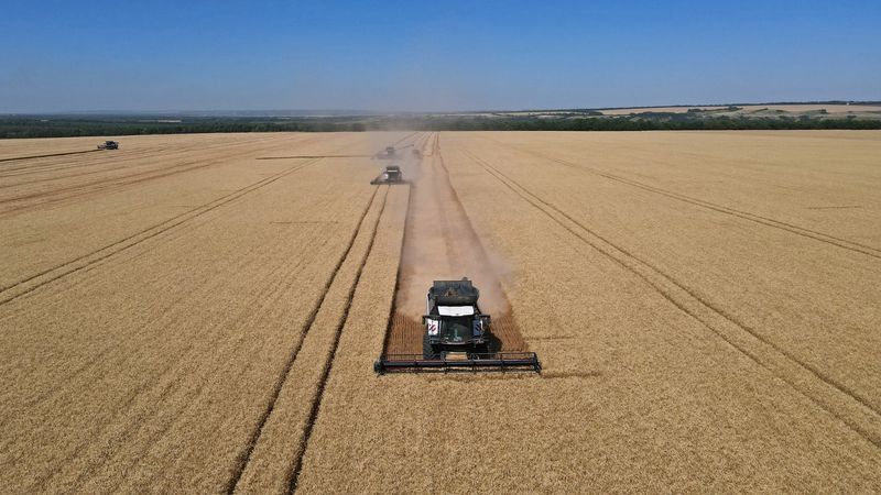 &copy; Reuters. FILE PHOTO: Combines harvest wheat in a field in the Rostov Region, Russia July 7, 2022. REUTERS/Sergey Pivovarov