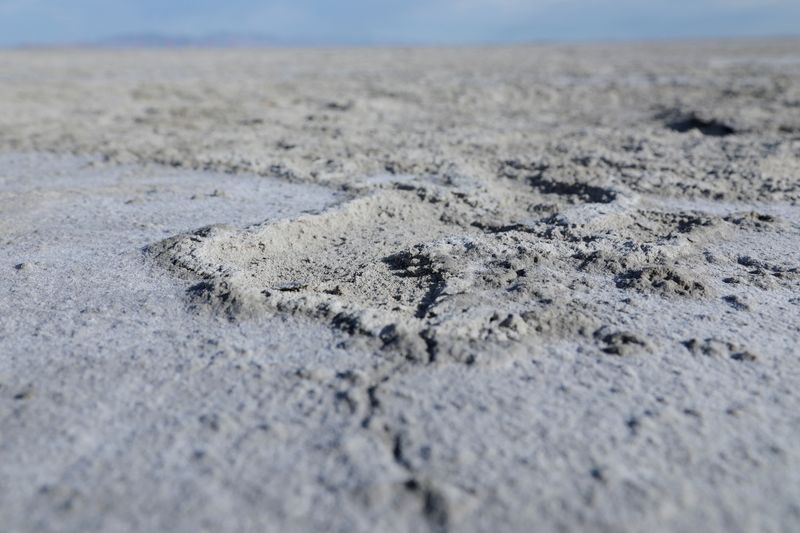 © Reuters. A dust spot uncovered by erosion is seen on the dried out lakebed of Farmington Bay of the Great Salt Lake near Syracuse, Utah, U.S., July 1, 2022. REUTERS/Nathan Frandino