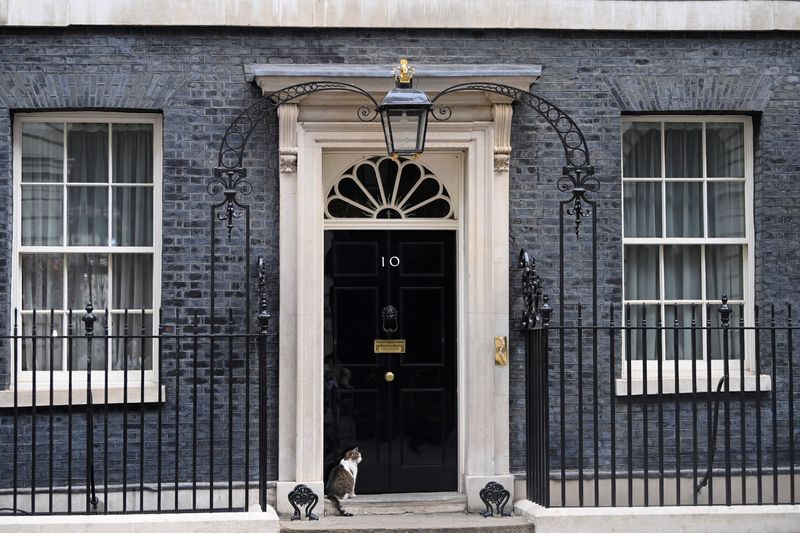 &copy; Reuters. El gato Larry del número 10 de Downing Street espera sentado, en Londres, Reino Unido, el 12 de julio de 2022. REUTERS/Toby Melville