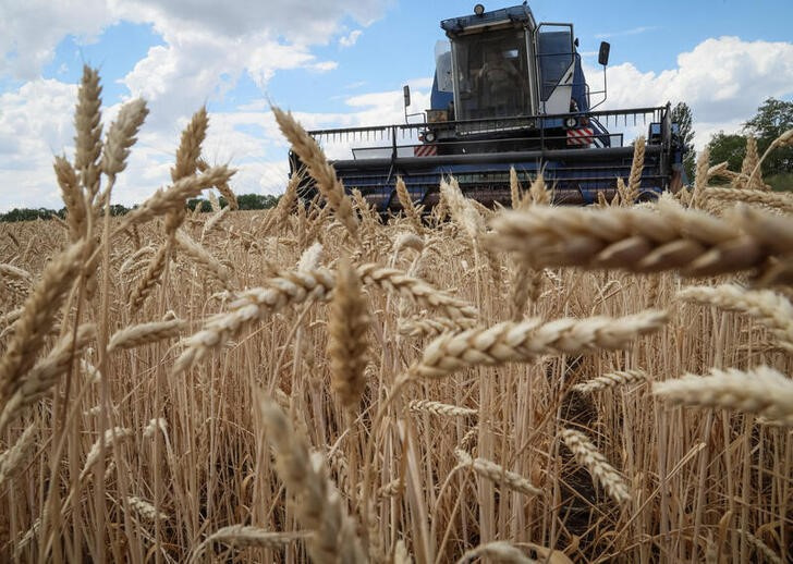 &copy; Reuters. Los agricultores cosechan trigo, en medio del ataque de Rusia a Ucrania, en la región de Dombás, Ucrania, 13 de julio de 2022. REUTERS/Gleb Garanich