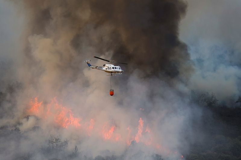 &copy; Reuters. 欧州が記録的な熱波に見舞われ、フランス、スペイン、ポルトガルでは相次ぐ山火事により数百人が避難する事態となっている。スペインで１５日撮影（２０２２年　ロイター/Susana Vera）