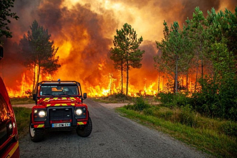 © Reuters. Vista de árboles quemándose en medio de un incendio cerca de Landiras, Francia, 13 julio del 2022 en esta foto obtenida de una brigada en la región de Giranda (SDIS 33). SDIS 33/Handout via REUTERS 