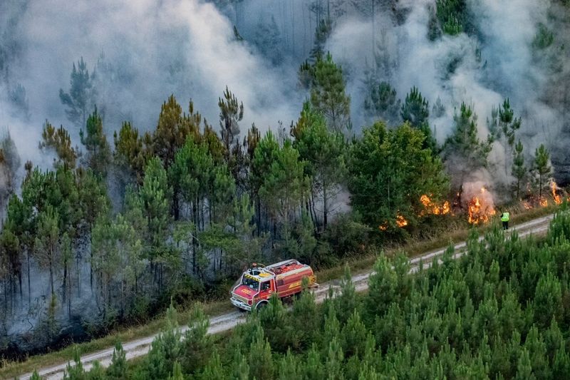 &copy; Reuters. سيارة إطفاء تمر عبر طريق وسط الغابات في فرنسا يوم السبت. صورة من فرقة الإطفاء حصلت عليها رويترز من طرف ثالث ويحظر بيعها أو الاحتفاظ بها في ال