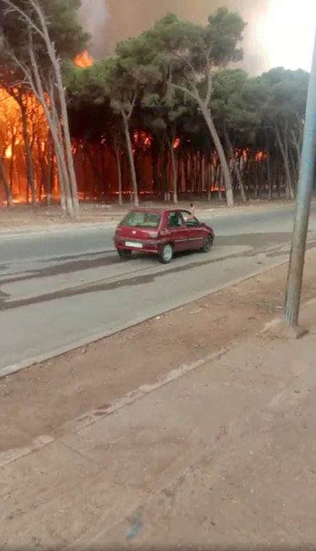 &copy; Reuters. شخص يلتقط صورا من داخل إحدى السيارات لأشجار تشتعل فيها النيران وسط حرائق غابات في العرائش بالمغرب يوم 14 من يوليو تموز 2022. أخذت هذه الصورة الث