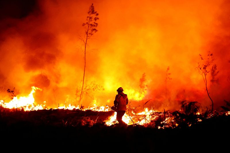 © Reuters. A firefighter creates a tactical fire in Louchats, as wildfires continue to spread in the Gironde region of southwestern France, July 17, 2022. REUTERS/Sarah Meyssonnier     