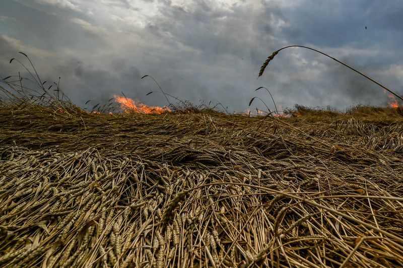 &copy; Reuters. Foto de archivo d eun incendio en un campo de trigo en la frontera entre las regiones de Zaporizhzhia y Donetsk 
July17, 2022. REUTERS/Dmytro Smolienko
