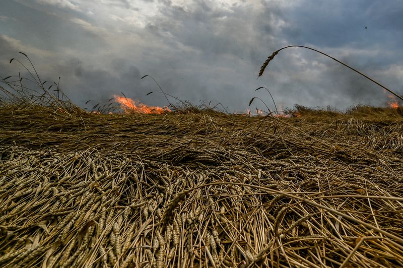 &copy; Reuters. トルコのアカル国防相は１８日、ウクライナに滞留している穀物の輸出再開を巡るロシア、ウクライナ、トルコ、国連の各代表団による協議が週内に再び開かれる公算が大きいという認識を