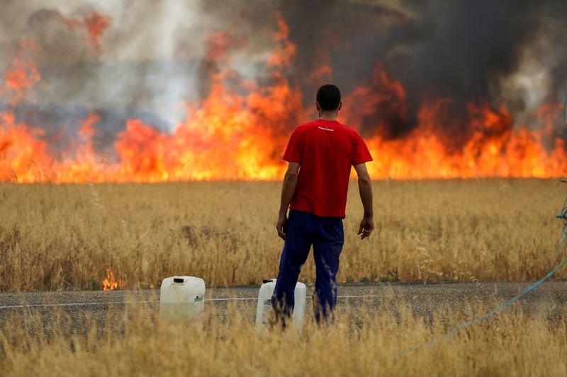 © Reuters. A shepherd watches a fire burning a wheat field between Tabara and Losacio, during the second heatwave of the year, in the province of Zamora, Spain, July 18, 2022. REUTERS/Isabel Infantes    