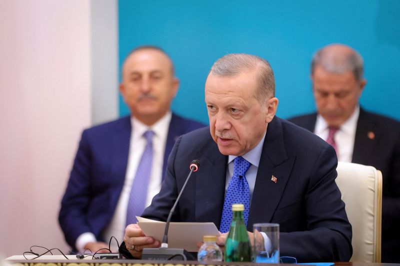 &copy; Reuters. الرئيس التركي رجب طيب أردوغان يتحدث في طهران يوم الثلاثاء. صورة لرويترز من وكالة أنباء غرب آسيا.