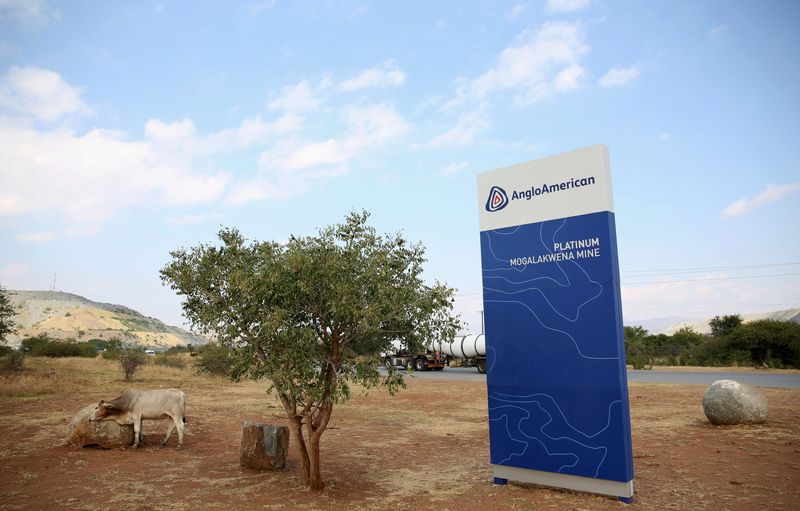 &copy; Reuters. FILE PHOTO: A cow is seen near the AngloAmerican sign board outside the Mogalakwena platinum mine in Mokopane , north-western part of South Africa , Limpopo province May 18, 2016. REUTERS/Siphiwe Sibeko