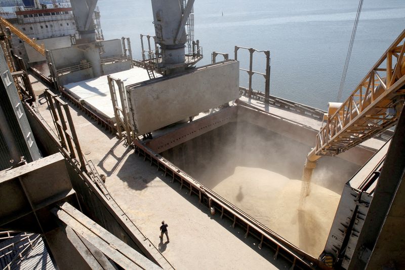 © Reuters. شحنة من الحبوب الأوكرانية يتم صبها آليا داخل سفينة ترسو في ميناء خاص بالصادرات الأوكرانية الزراعية في مدينة ميكولايف بصورة من أرشبف رويترز .  