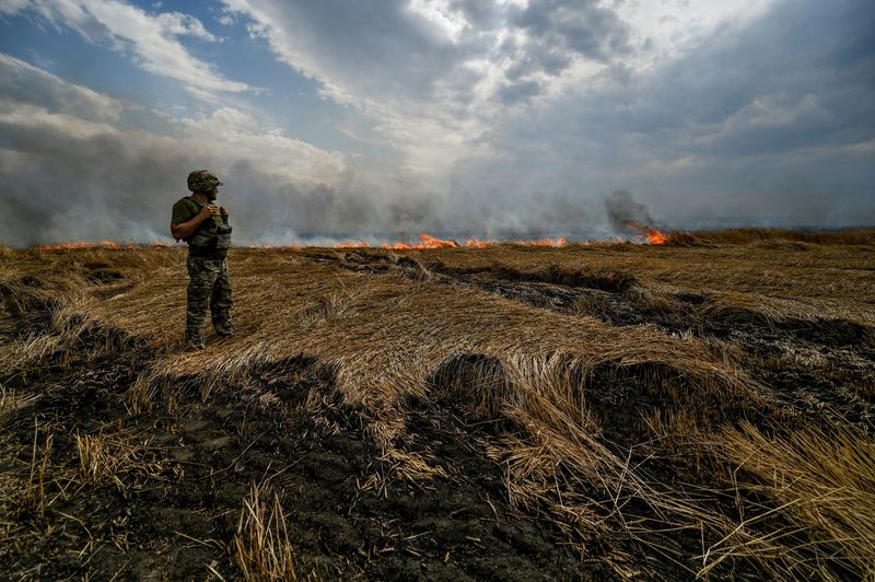&copy; Reuters. جندي أوكراني يقف في حقل قمح محترق قريبا من خط المواجهة على الحدود بين منطقتي زابوريجيا ودونيتسك يوم 17 يوليو تموز 2022. تصوير: دميترو سمولينكو - 