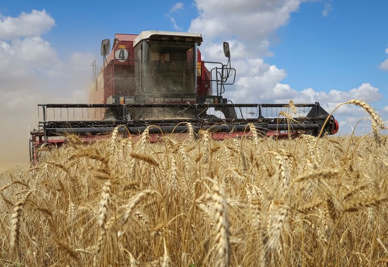 &copy; Reuters. A combine harvests wheat in Russian-held part of Zaporizhzhia region, Ukraine July 23, 2022.  REUTERS/Alexander Ermochenko