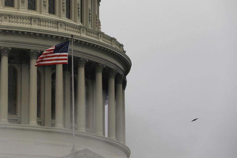 &copy; Reuters. FILE PHOTO: A bird flies by the United States Capitol building in Washington, U.S., March 17, 2022.  REUTERS/Emily Elconin/File Photo