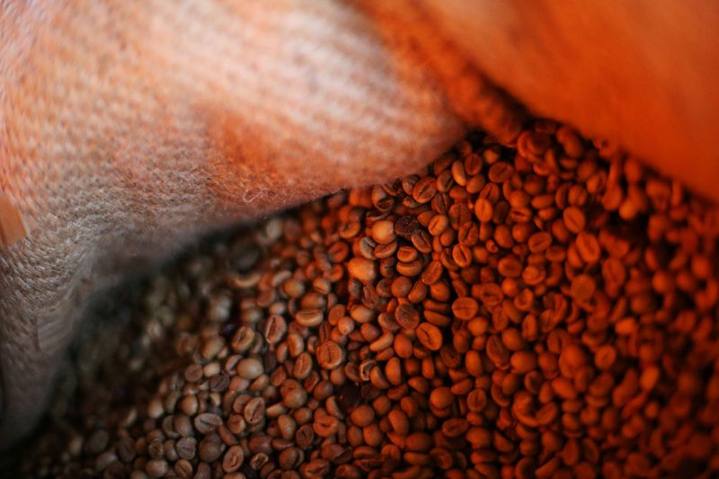 &copy; Reuters. FILE PHOTO: Coffee beans are pictured inside a sack at a plantation in Tepezonapa, Veracruz state, Mexico, August 14, 2019. REUTERS/Edgard Garrido