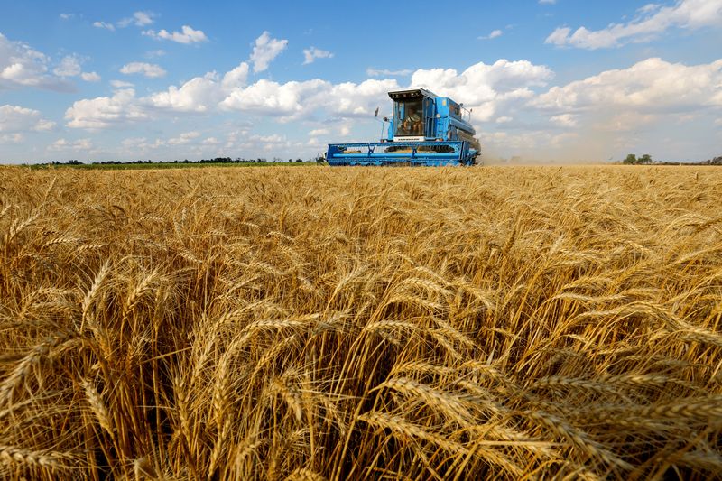 &copy; Reuters. Agricultores fazem colheita de trigo na região ucraniana de Kherson
26/07/2022 REUTERS/Alexander Ermochenko