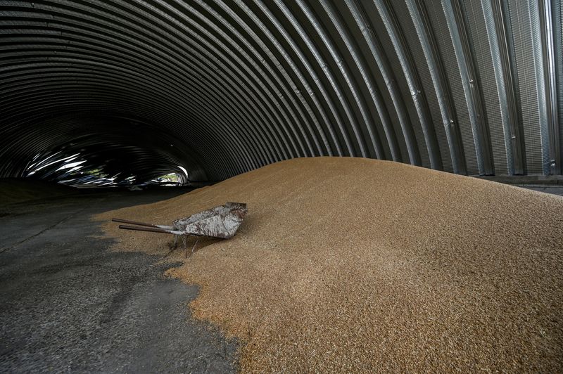 &copy; Reuters. Grãos armazenados na Ucrânia.  REUTERS/Dmytro Smolienko