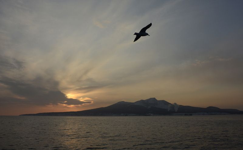 &copy; Reuters. FILE PHOTO: A seagull flies above the waters of the Pacific Ocean near the Island of Kunashir, one of four islands known as the Southern Kuriles in Russia and the Northern Territories in Japan, December 20, 2016. REUTERS/Yuri Maltsev