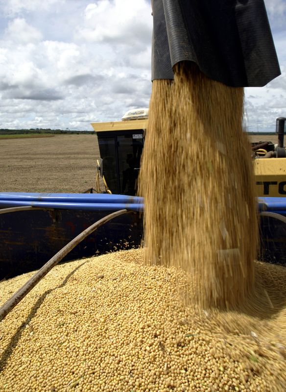 © Reuters. Escoamento de soja em Lucas do Rio Verde, no Estado de Mato Grosso
28/07/2022
REUTERS/Paulo Whitaker  PW