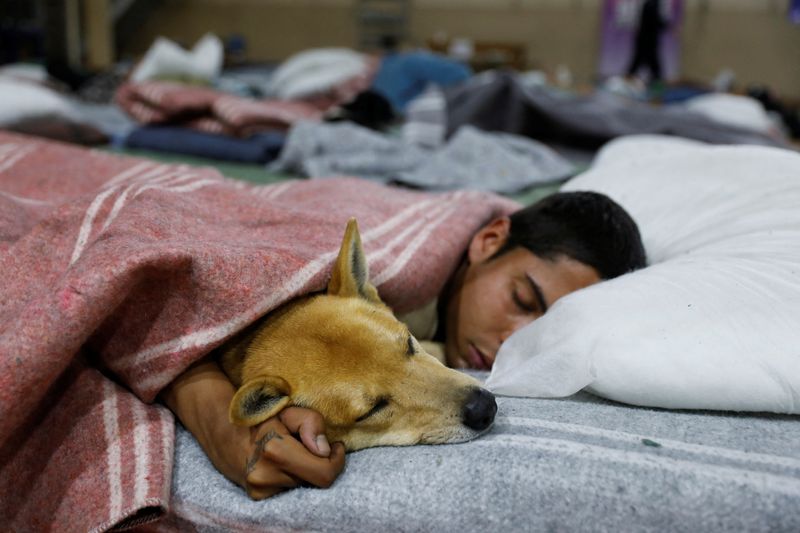 Brazilian city's homeless get incentive for going to shelter: beds for their pets