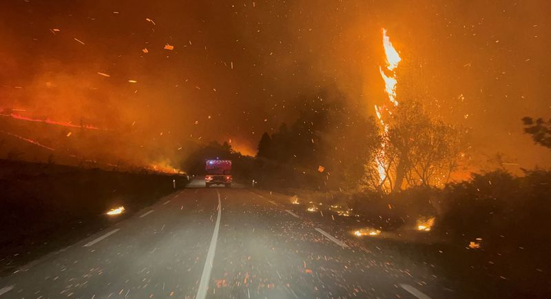 &copy; Reuters. الأشجار والنباتات تحترق وسط اندلاع حرائق الغابات في منطقة بريتاني بفرنسا في 19 يوليو 2022 . صورة لرويترز ( يحظر إعادة بيعها أو وضعها في الأرشيف) 