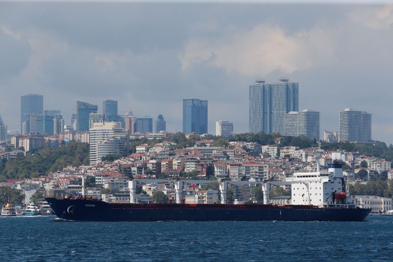 &copy; Reuters. The Sierra Leone-flagged cargo ship Razoni, carrying Ukrainian grain, sails in the Bosphorus en route to Lebanon, in Istanbul, Turkey August 3, 2022. REUTERS/Dilara Senkaya
