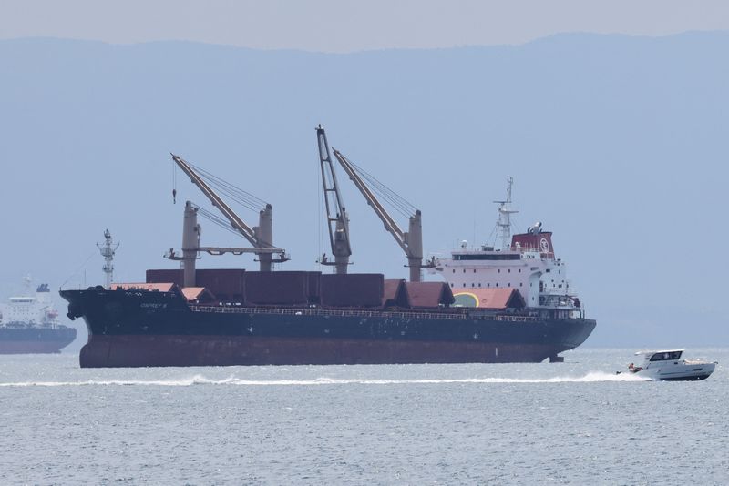 &copy; Reuters. FOTO DE ARCHIVO. El granelero turco OSPREY S, buque de carga de bandera liberiana, anclado frente a la costa de Tuzla en Estambul, Turquía. 4 de agosto de 2022. REUTERS/Umit Bektas