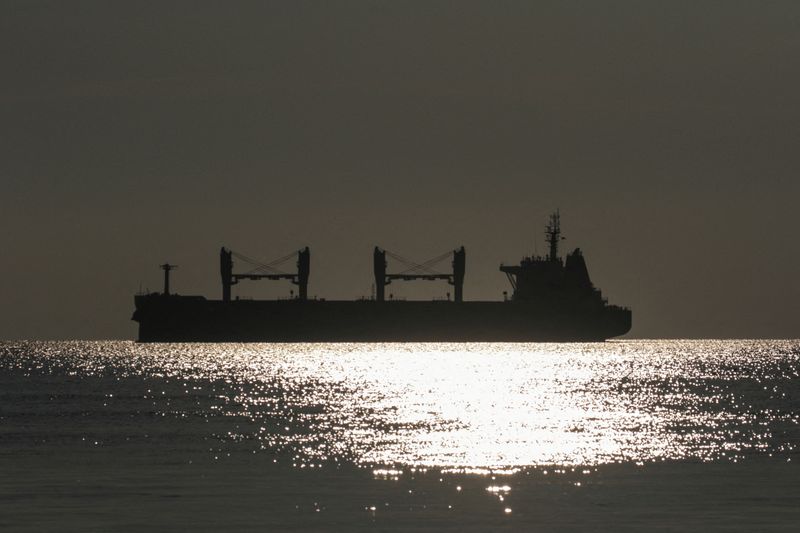 © Reuters. السفينة روجين المحملة بالحبوب تغادر الميناء في تشورنومورسك يوم الجمعة. تصوير : سيرهيل سمولينتسيف - رويترز .  