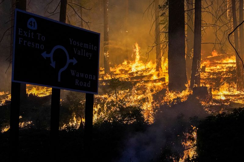 Wildfires are destroying California's forest carbon credit reserves -study