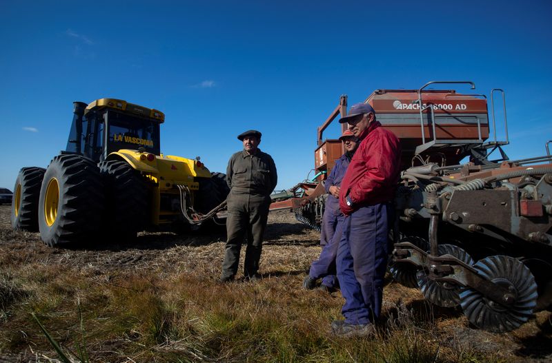 &copy; Reuters. Agricultores argentinos
21/06/2022
REUTERS/Matias Baglietto