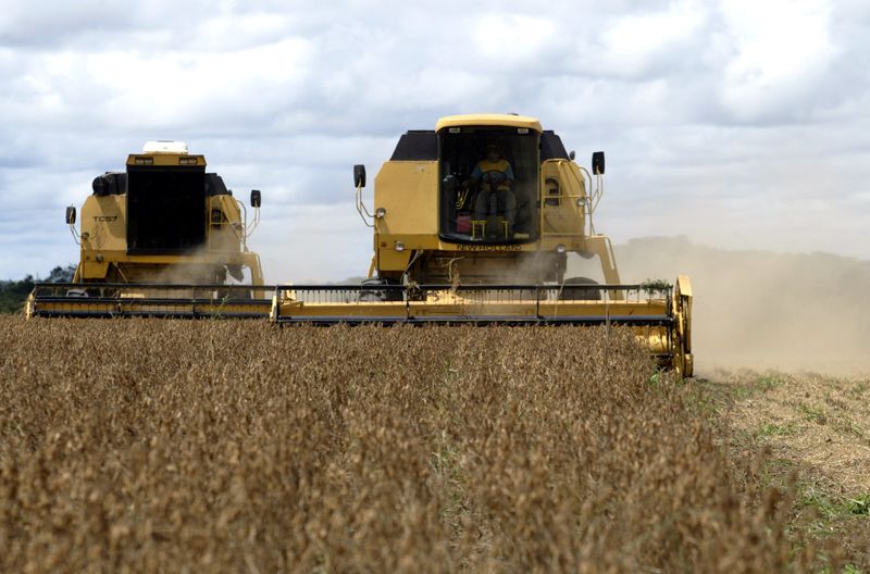 Preços da soja caem em Chicago atentos à previsão de chuvas nos EUA; trigo também cai